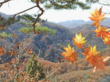 万豪国际彩票网站直接入